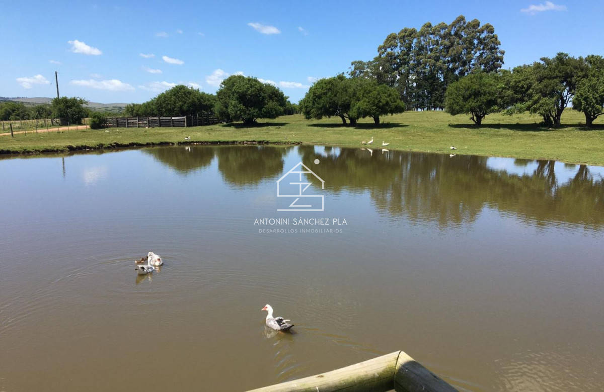 Chacra ID.4608 - Vende chacra de 14.5 ha en Pueblo Edén