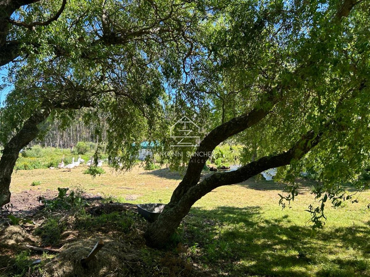 Chacra ID.1908 - Chacra Jardin