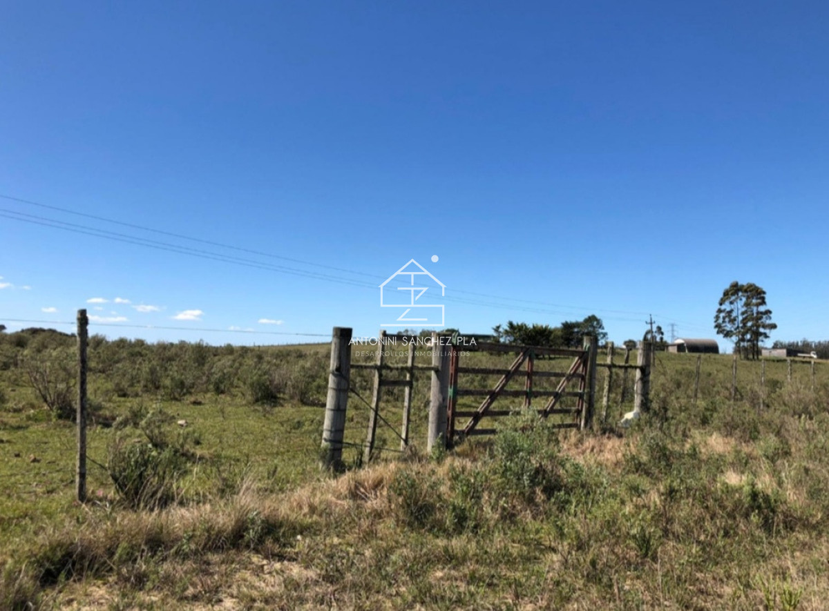 Chacra ID.4474 - Venta de chacra en Lapataia 