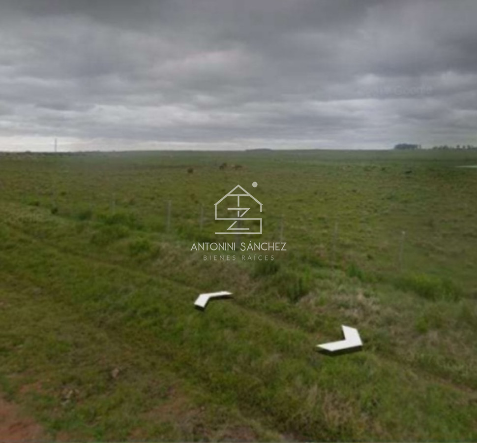 Campo Ref.1914 - CAMPO EN RIVERA 365 HECTÁREAS