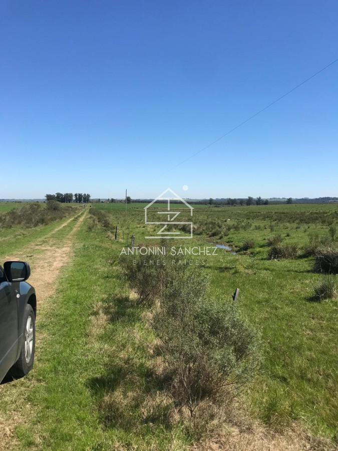 Campo Ref.1912 - Excelente campo Colonia