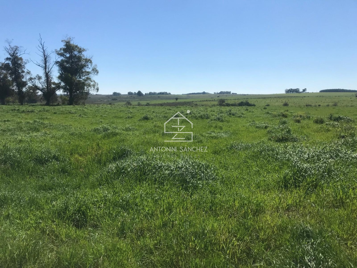 Campo Ref.1912 - Excelente campo Colonia