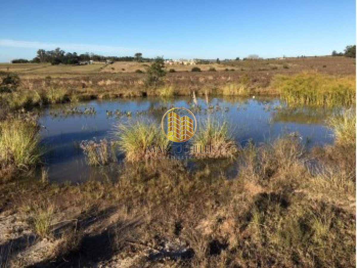 Chacra ID.94 - Chacra Camino de los Ceibos