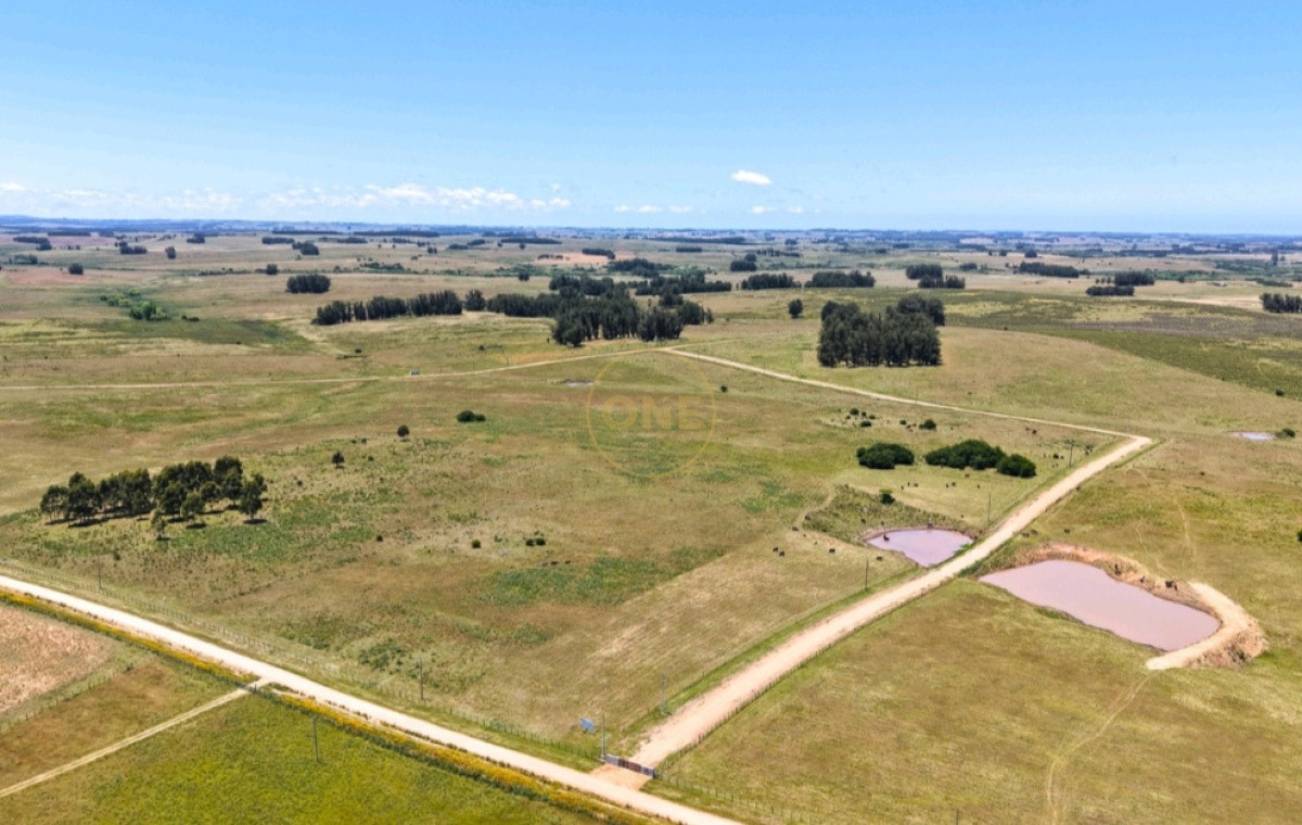 Chacra ID.2220 - Venta de chacras en Lomas de José Ignacio 