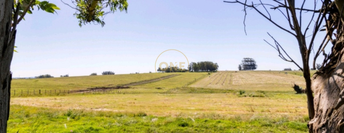 Chacra ID.2220 - Venta de chacras en Lomas de José Ignacio 