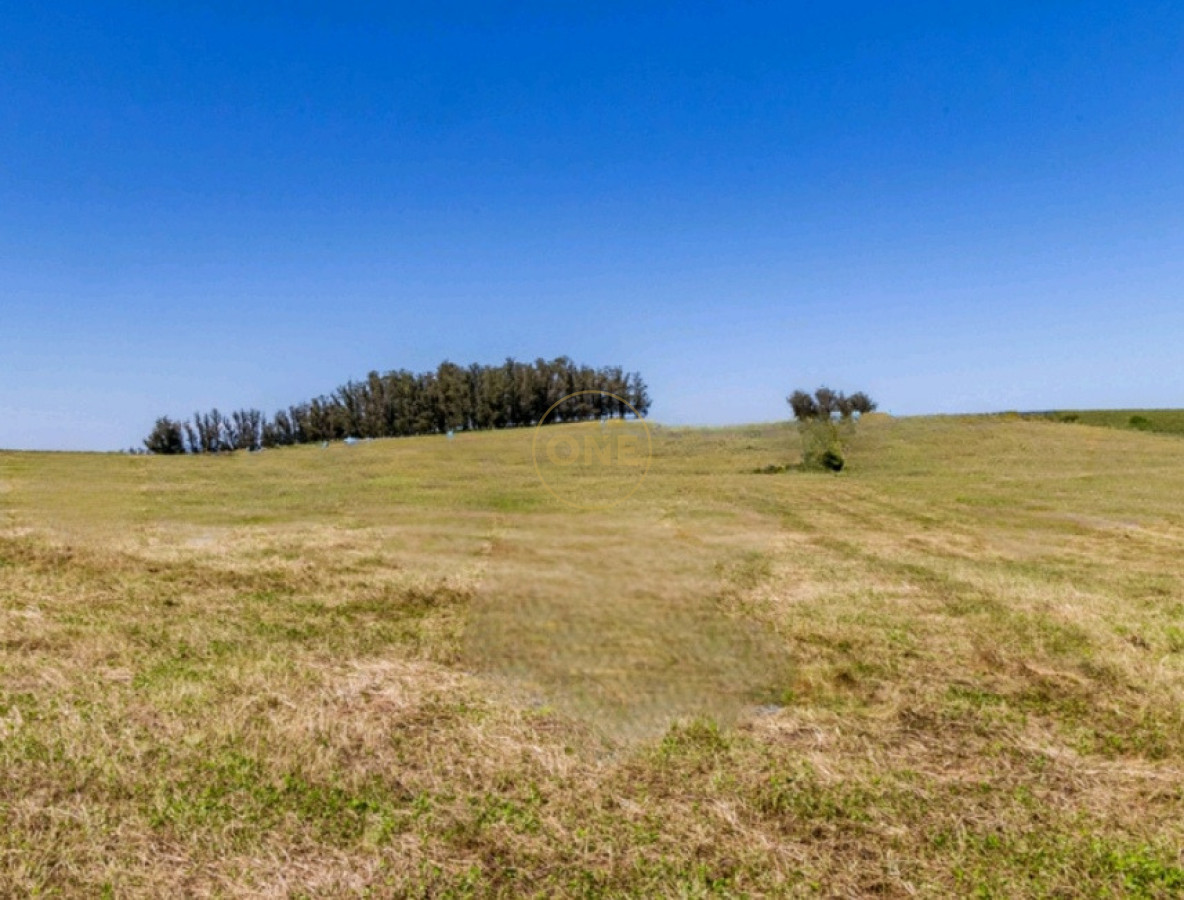 Chacra ID.2220 - Venta de chacras en Lomas de José Ignacio 