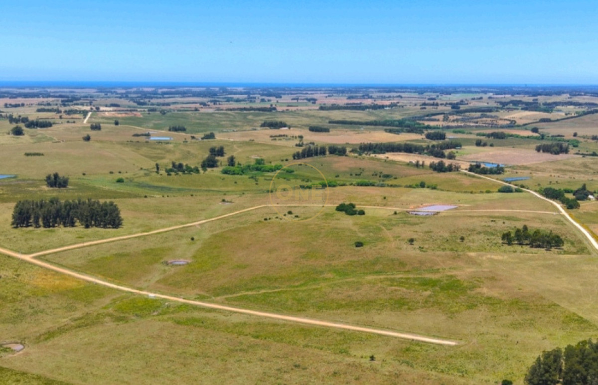 Chacra ID.2220 - Venta de chacras en Lomas de José Ignacio 
