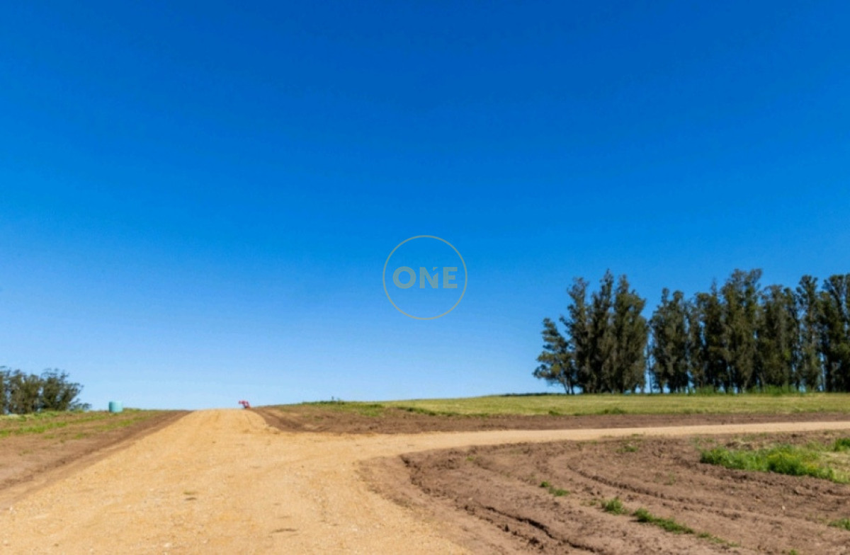 Chacra ID.2220 - Venta de chacras en Lomas de José Ignacio 