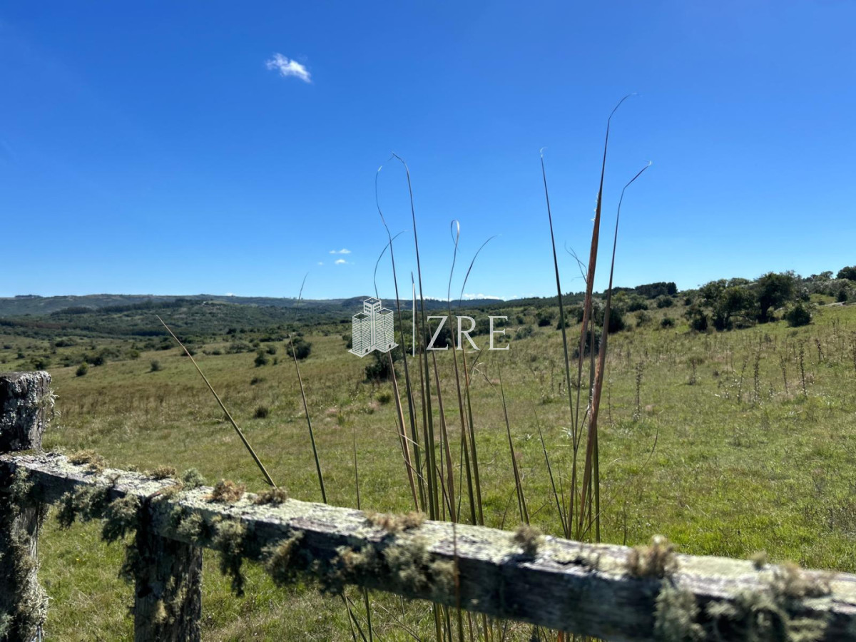 Campo Ref.1373 - Venta de Campo en Maldonado