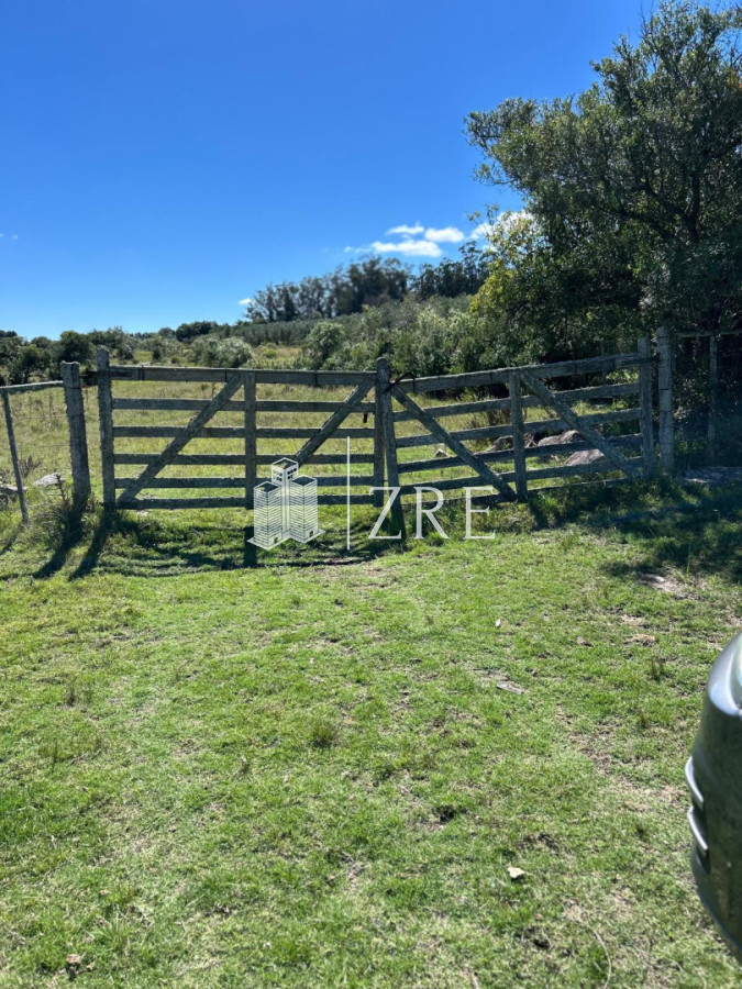 Campo Ref.1373 - Venta de Campo en Maldonado
