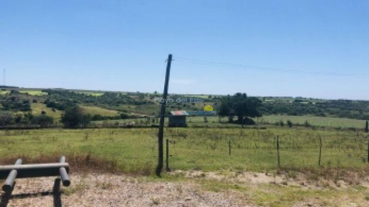 Excelente Campo en Colonia - GoPunta - Portal Inmobiliario de Punta del Este - Maldonado