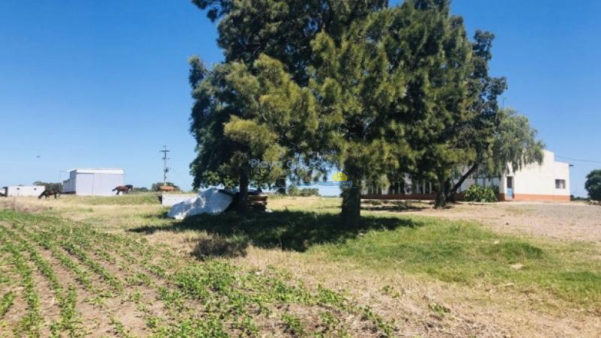 Excelente Campo en Colonia - GoPunta - Portal Inmobiliario de Punta del Este - Maldonado