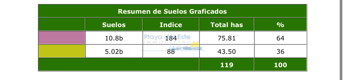 Excelente Campo 116hás en Colonia - GoPunta - Portal Inmobiliario de Punta del Este - Maldonado