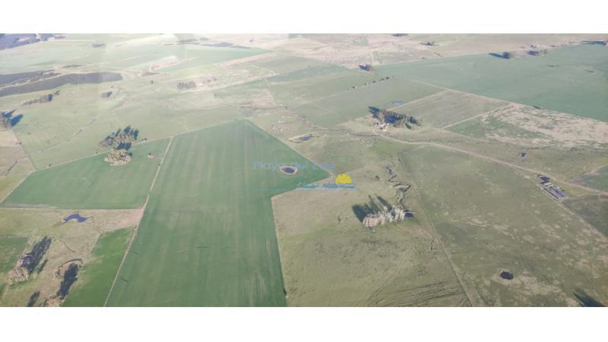 Excelente Campo en Colonia - GoPunta - Portal Inmobiliario de Punta del Este - Maldonado