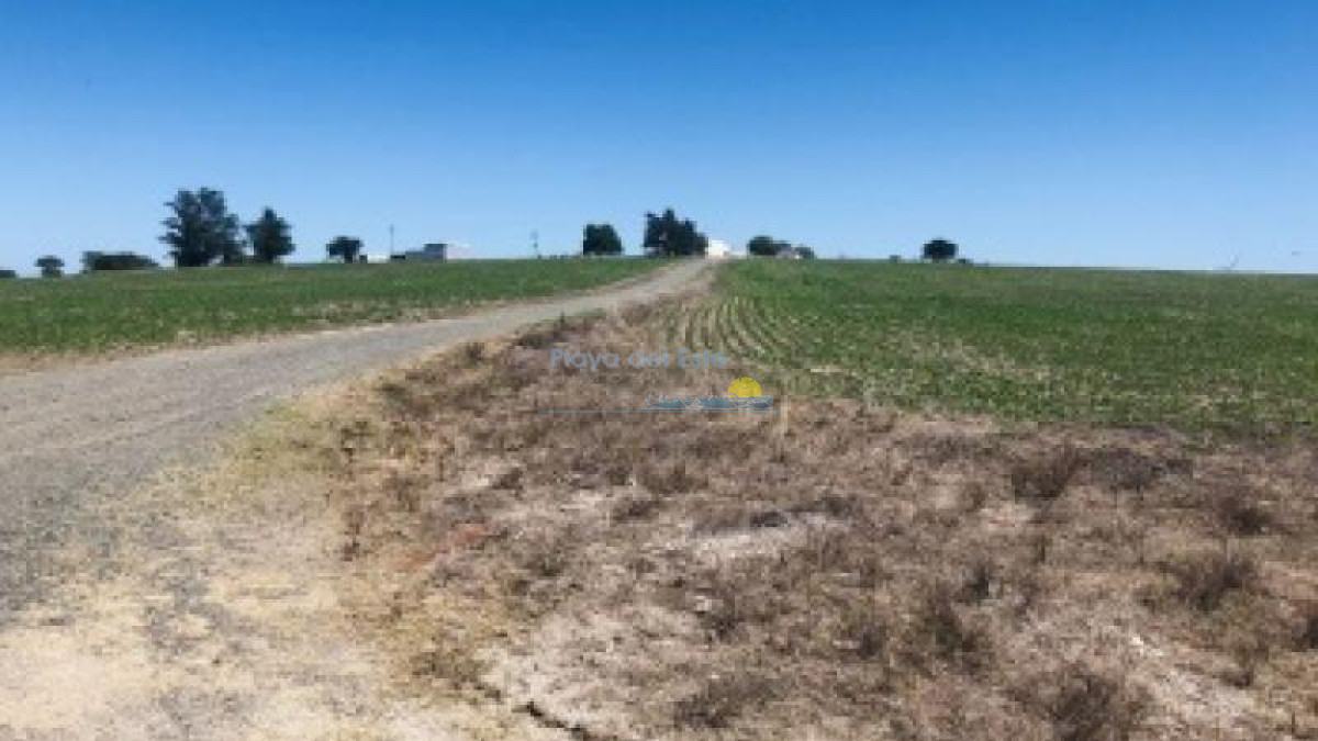 Excelente Campo en Colonia - GoPunta - Portal Inmobiliario de Punta del Este - Maldonado