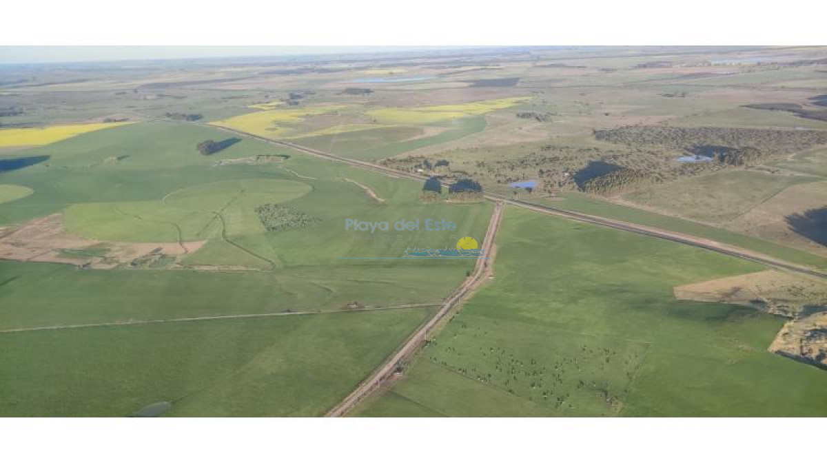 Excelente Campo en Colonia - GoPunta - Portal Inmobiliario de Punta del Este - Maldonado