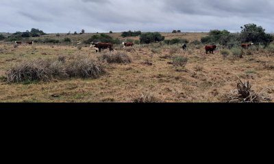 Chacras en Pueblo Eden