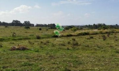 Chacra Jose Ignacio 21 hectareas