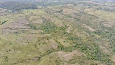 Venta de Campo en Maldonado
