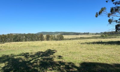 Excelente Campo 36hás Ruta Interbalnearia