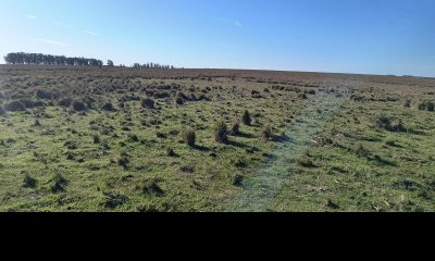 Campo en ,