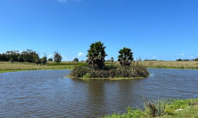 Campo en Las Garzas Rocha