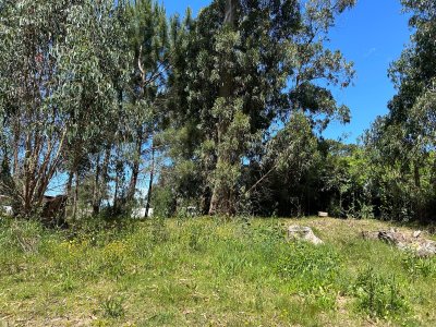 Excelente Terreno 1250mt Jardines de Córdoba