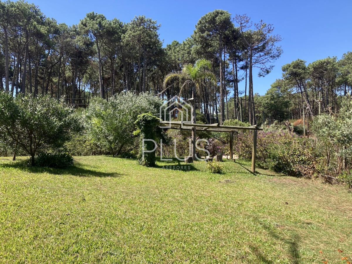 Terreno ID.402 - Terreno en Punta Ballena, Chihuahua