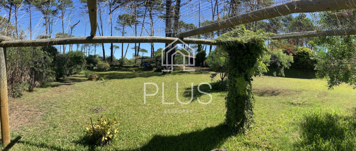 Terreno ID.402 - Terreno en Punta Ballena, Chihuahua