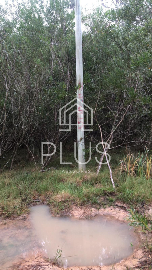 Terreno ID.451 - Terreno en La Paloma, 