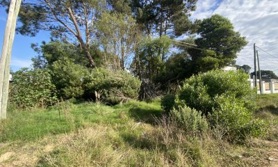 Terreno en Maldonado, Burnett