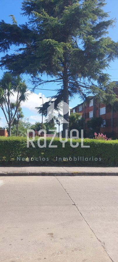 Apartamento ID.457 - Venta de lindo Apartamento en la Ciudad de SAN CARLOS de 2 dormitorios.