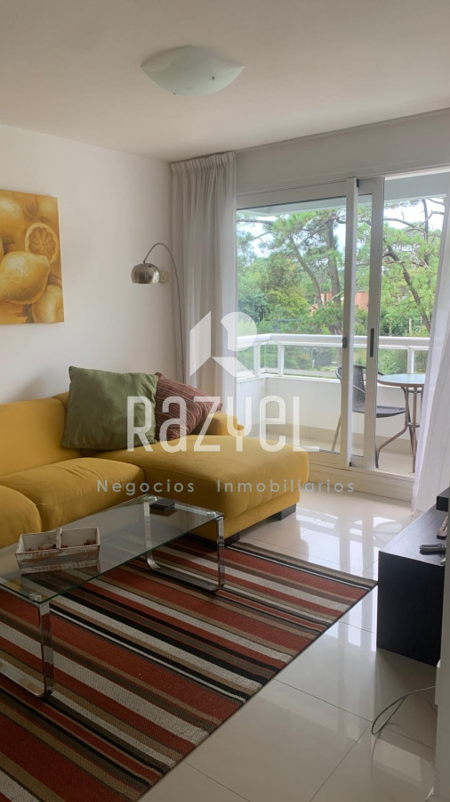 Apartamento ID.934 - Apto de 2 dorm 2 baños en zona de Punta Shopping - alquiler anual -