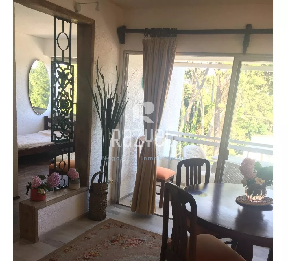 Apartamento ID.879 - Apartamento de 1 dormitorio y terraza super soleado