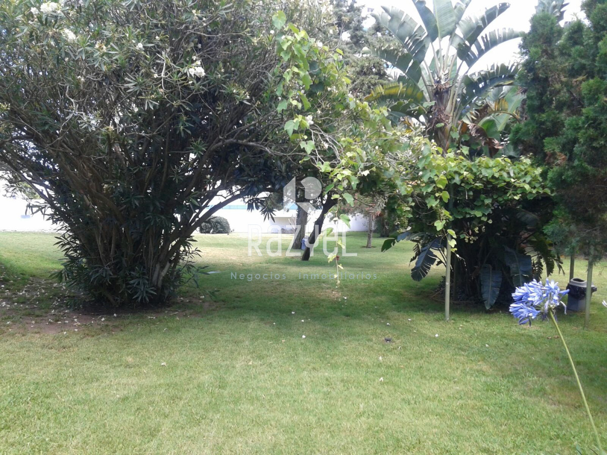 Apartamento ID.436 - Apartamento Mono en edificio Luna de Mar