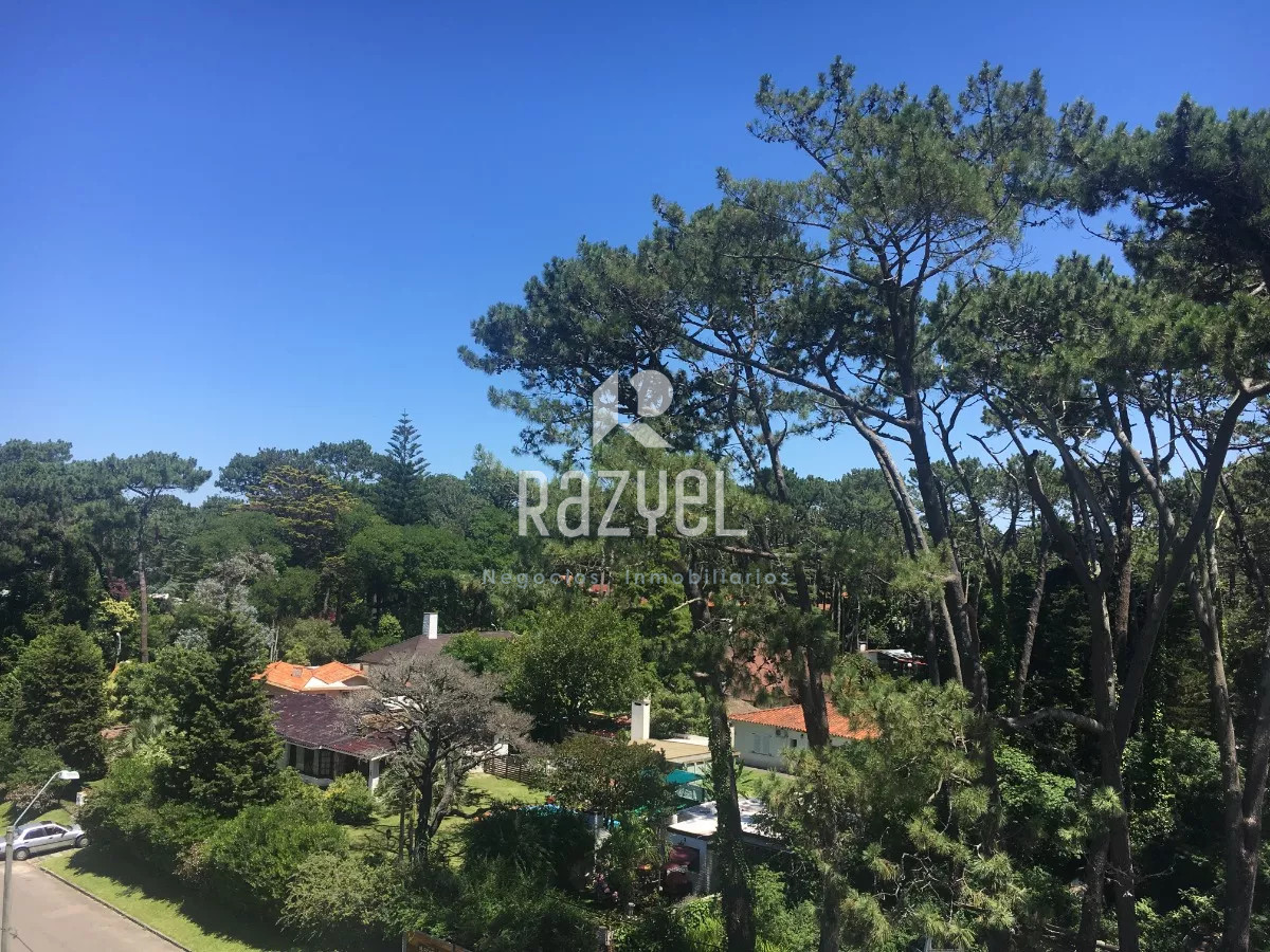 Apartamento ID.879 - Apartamento de 1 dormitorio y terraza super soleado