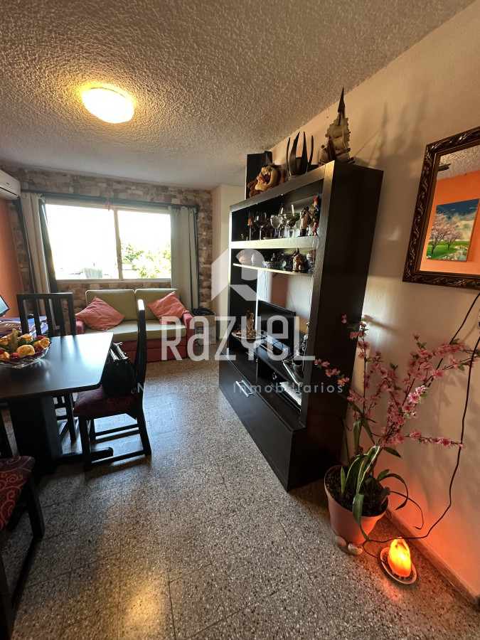 Centro San Carlos - GoPunta - Portal Inmobiliario de Punta del Este - Maldonado