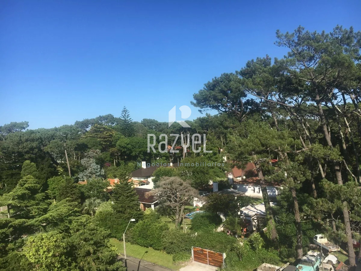 Apartamento ID.879 - Apartamento de 1 dormitorio y terraza super soleado