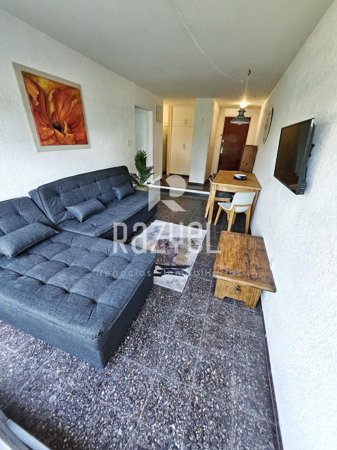 Apartamento ID.1018 - Alquiler anual 1 dormitorio Plaza mexico