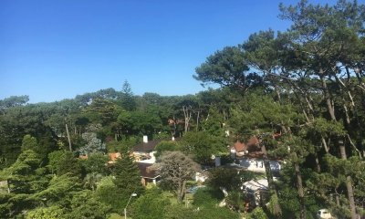 Apartamento de 1 dormitorio y terraza super soleado