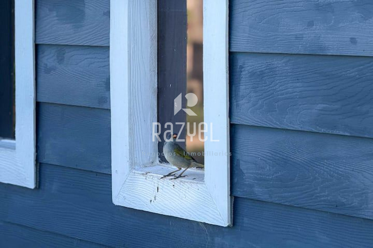 Casa ID.1161 - Alquiler de temporada en Miramar Acres (La Barra)