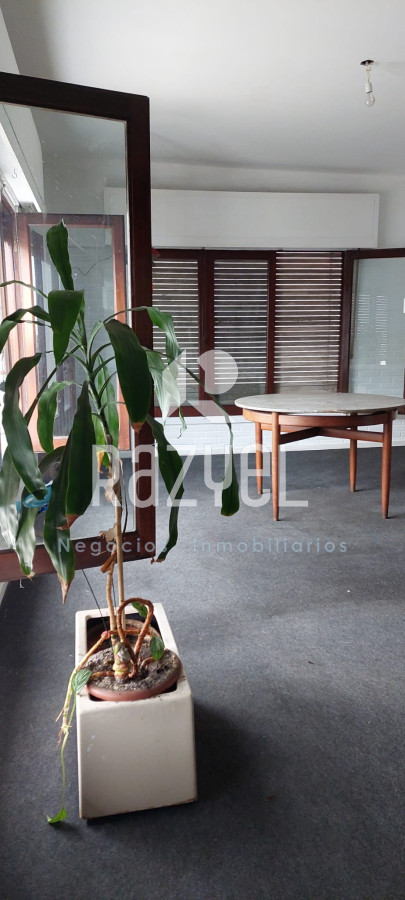 Casa ID.478 - Oportunidad de Inversiòn Venta de casa en el centro de Maldonado