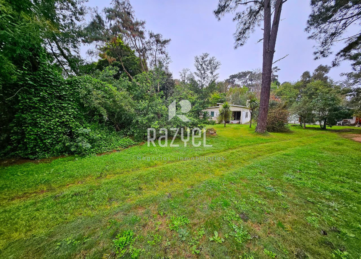 La Pataia - GoPunta - Portal Inmobiliario de Punta del Este - Maldonado
