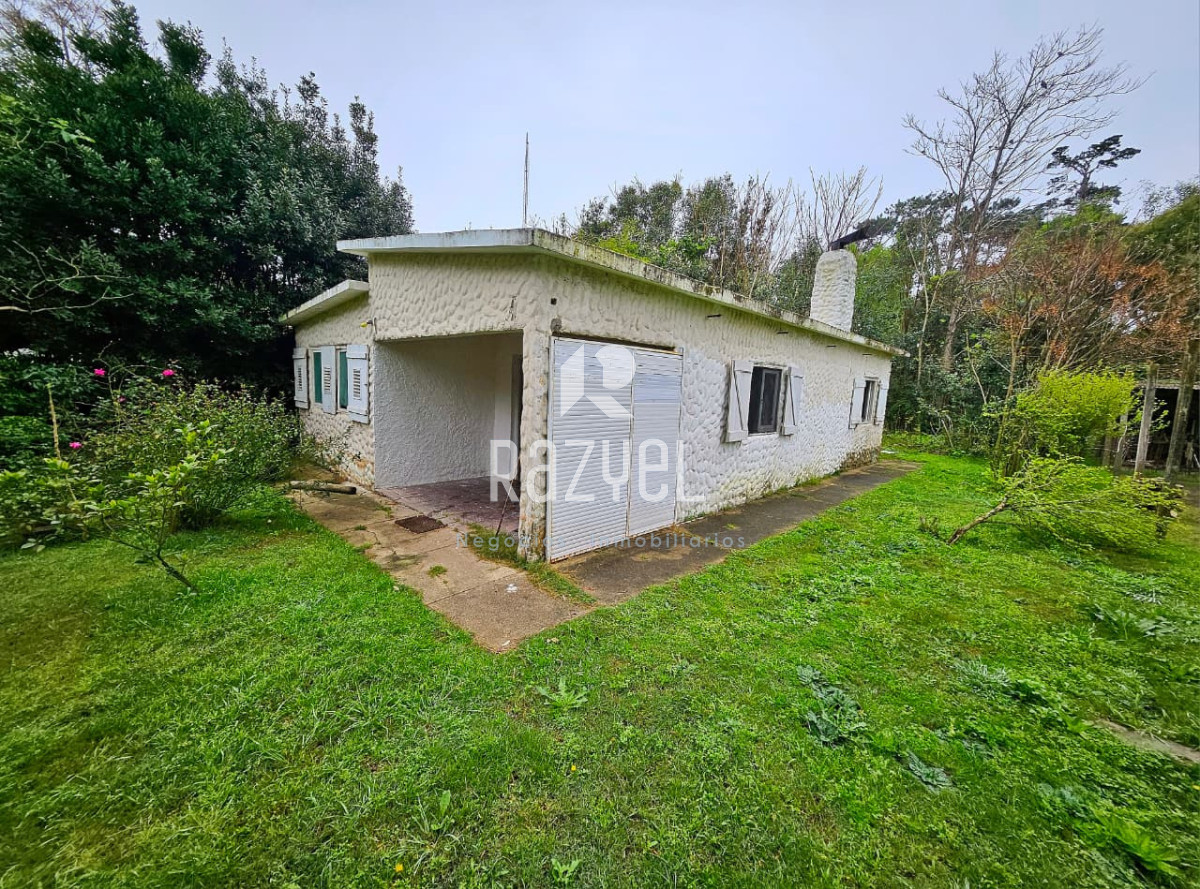 La Pataia - GoPunta - Portal Inmobiliario de Punta del Este - Maldonado