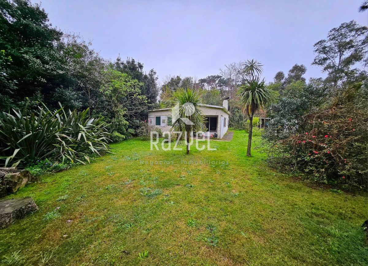 La Pataia - GoPunta - Portal Inmobiliario de Punta del Este - Maldonado