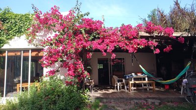 Casa en alquiler anual, La barra -El Tesoro. 2 dormitorios