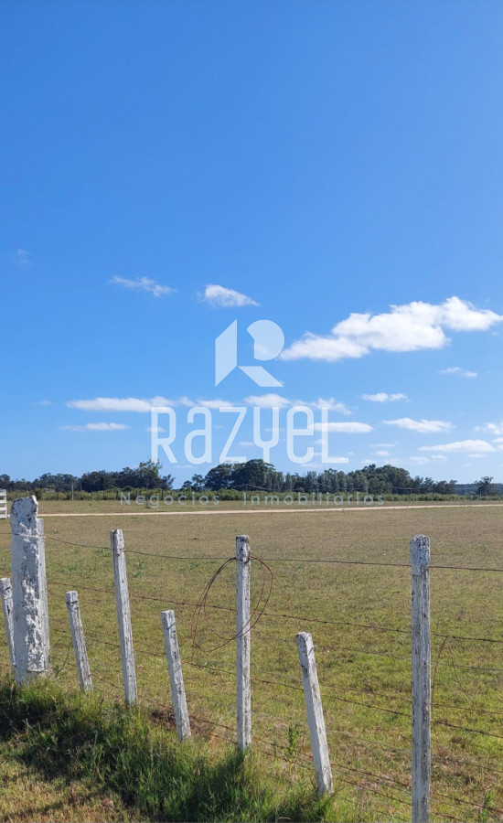 Chacra ID.1249 - Venta de Chacra 5 hectáreas Los Ceibos  ruta 39 .Departamento de Maldonado