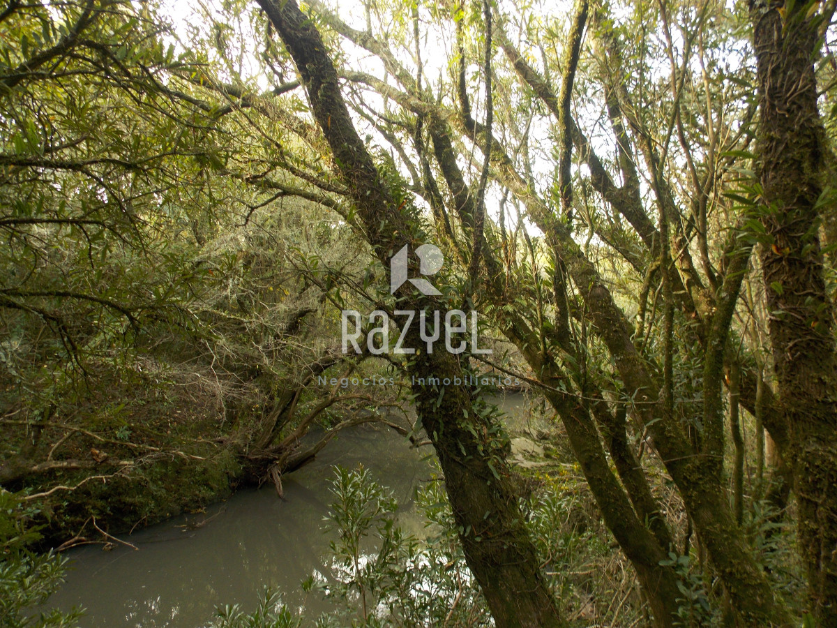 Chacra ID.1084 - Venta de Chacra 8 Hectareas Sierra los Caracoles 