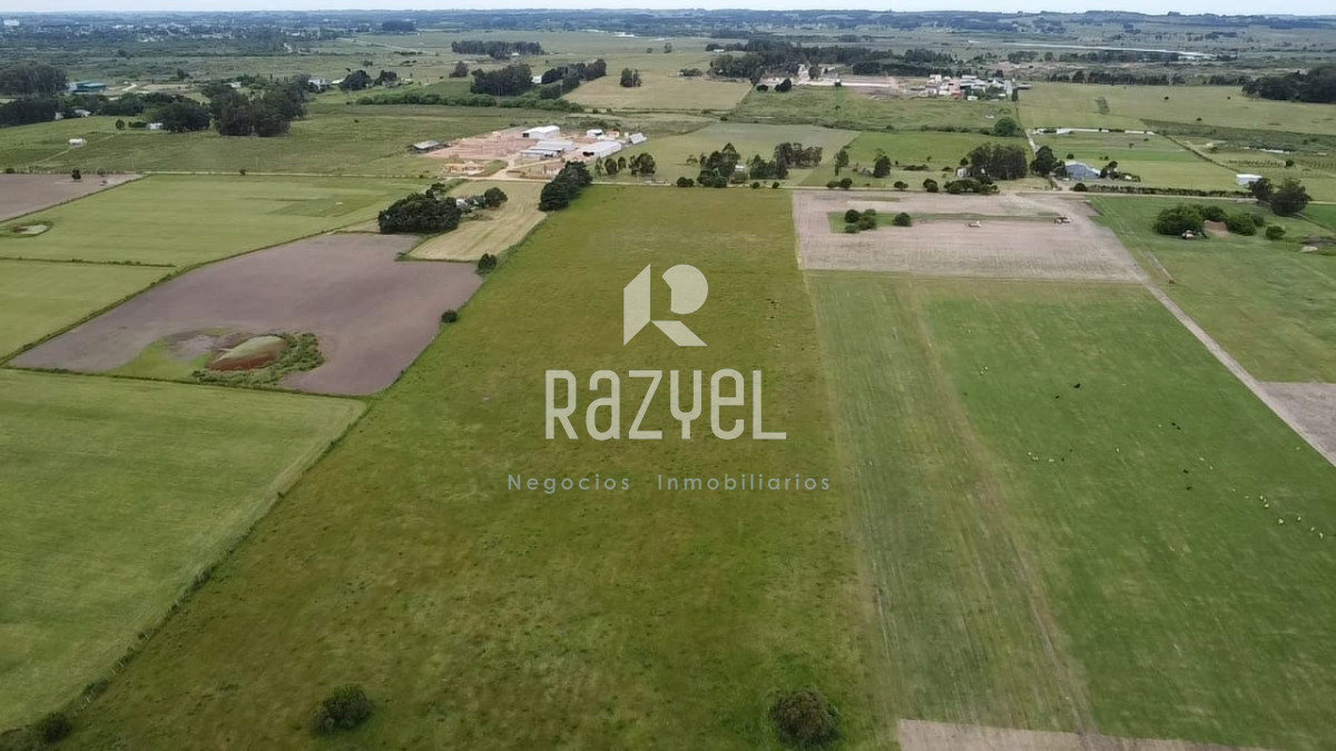 Chacra ID.1249 - Venta de Chacra 5 hectáreas Los Ceibos  ruta 39 .Departamento de Maldonado