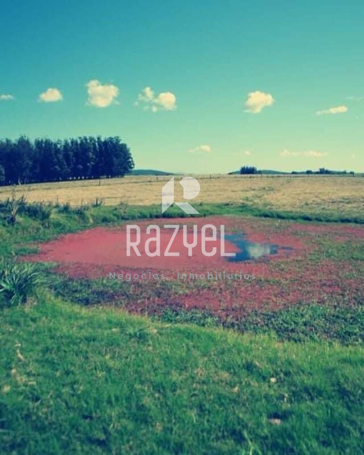 Chacra ID.997 - Chacra de 20 hectáreas con vertiente de agua mineral y 1000 m² construidos 